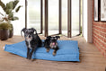 Load image into Gallery viewer, Pet bed CLASSIC Oxford