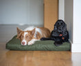 Load image into Gallery viewer, Orthopaedic Pet mattress Charlie