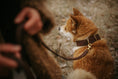 Load image into Gallery viewer, Adjustable leash TEXAS
