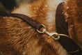 Load image into Gallery viewer, Adjustable leash TEXAS