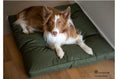 Load image into Gallery viewer, Orthopaedic Waterproof Pet Bed Charlie
