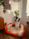 Load image into Gallery viewer, Pet bed MAX Oxford