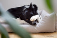 Load image into Gallery viewer, Pet bed MAX Otusso