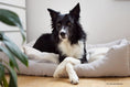 Load image into Gallery viewer, Pet bed MAX Otusso