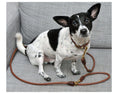 Load image into Gallery viewer, Adjustable leash PARIS