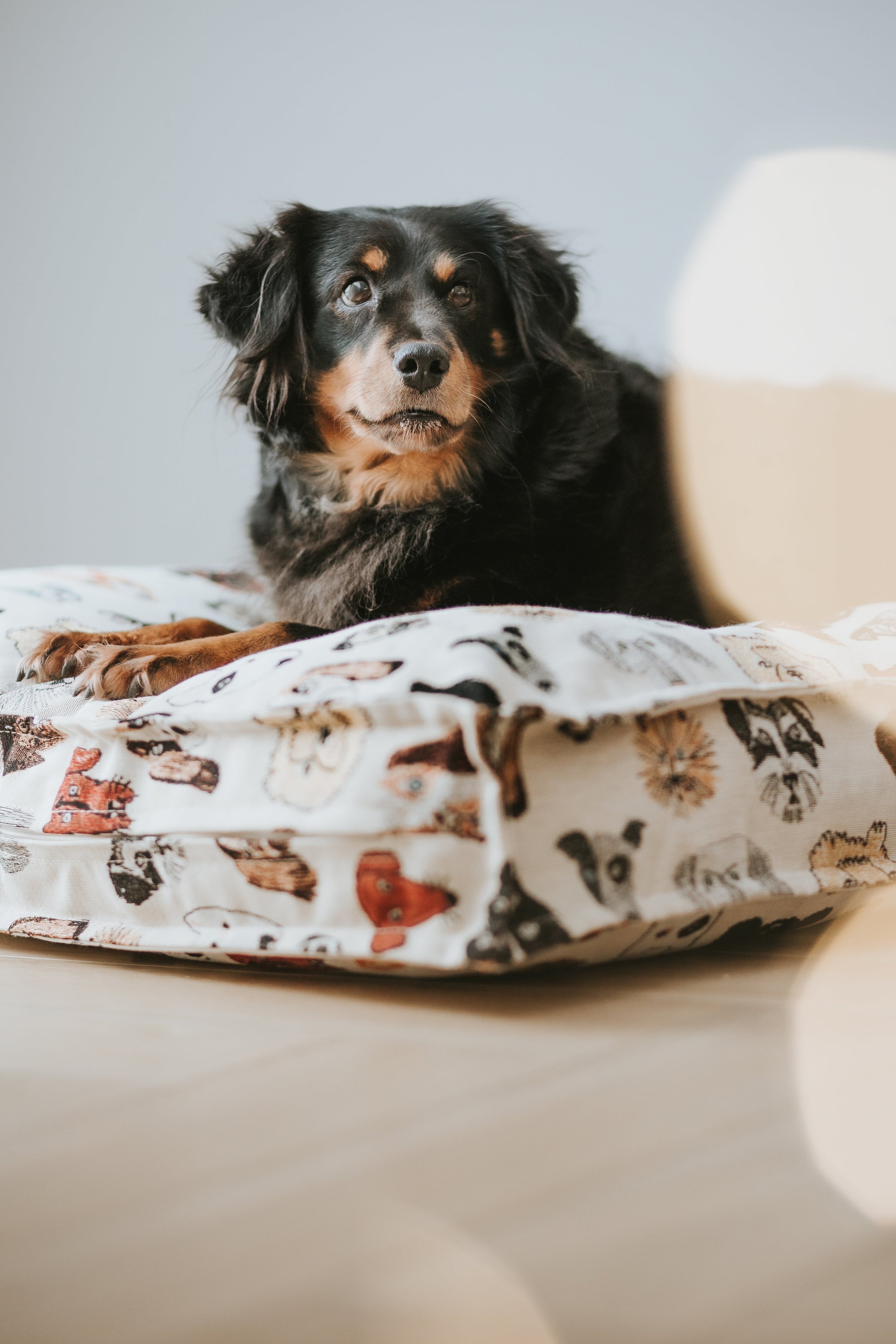 Dog bed CLASSIC Jacquard