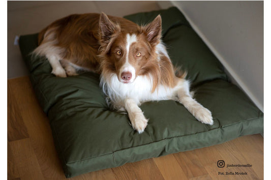 Waterproof Pet bed