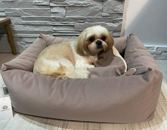 Pet bed TEDDY Otusso