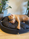 Load image into Gallery viewer, Pet bed Winston Otusso
