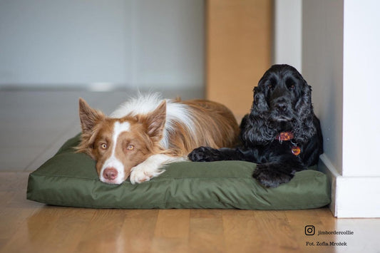 Waterproof Pet bed